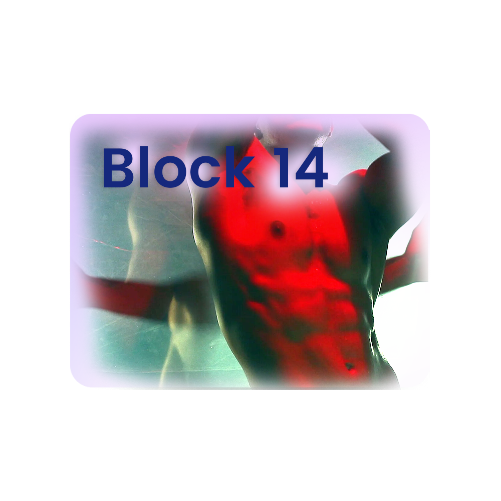 Block 14 (FRI 10.04)